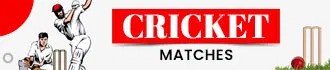 Cricket Banner