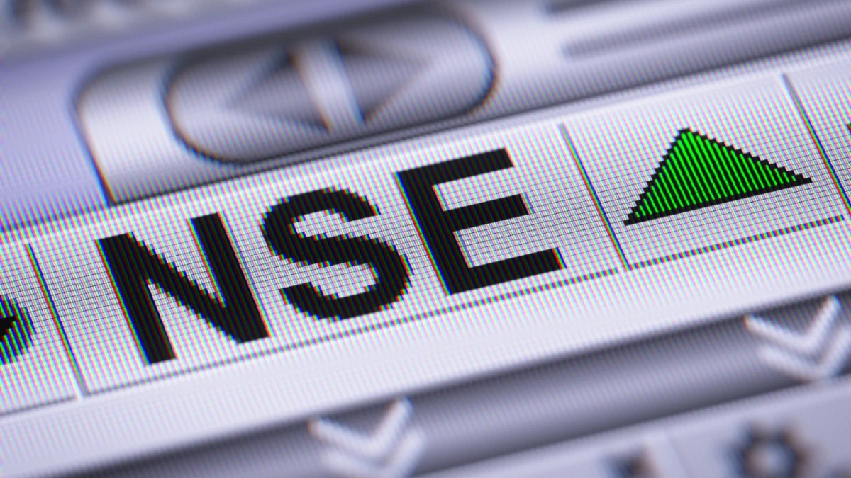 Valuation of PSU Holdings in NSE IPO