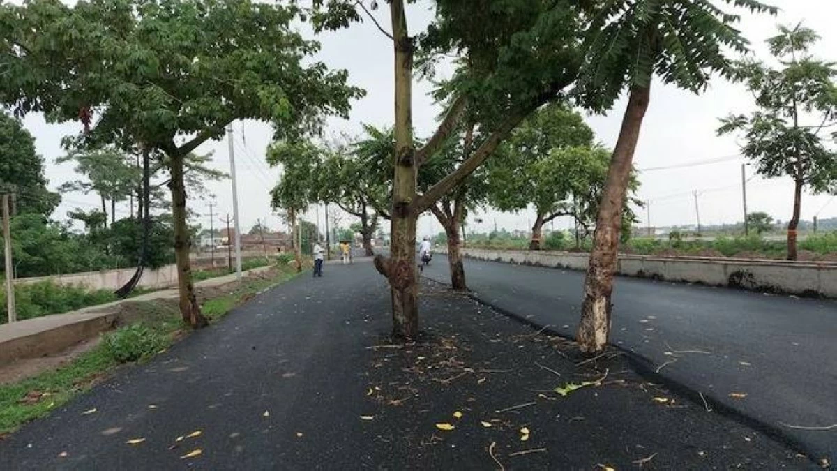 The 7.48 km stretch of road now has several trees standing right in the centre, forcing vehicles to zigzag dangerously to avoid collisions (Source: X)