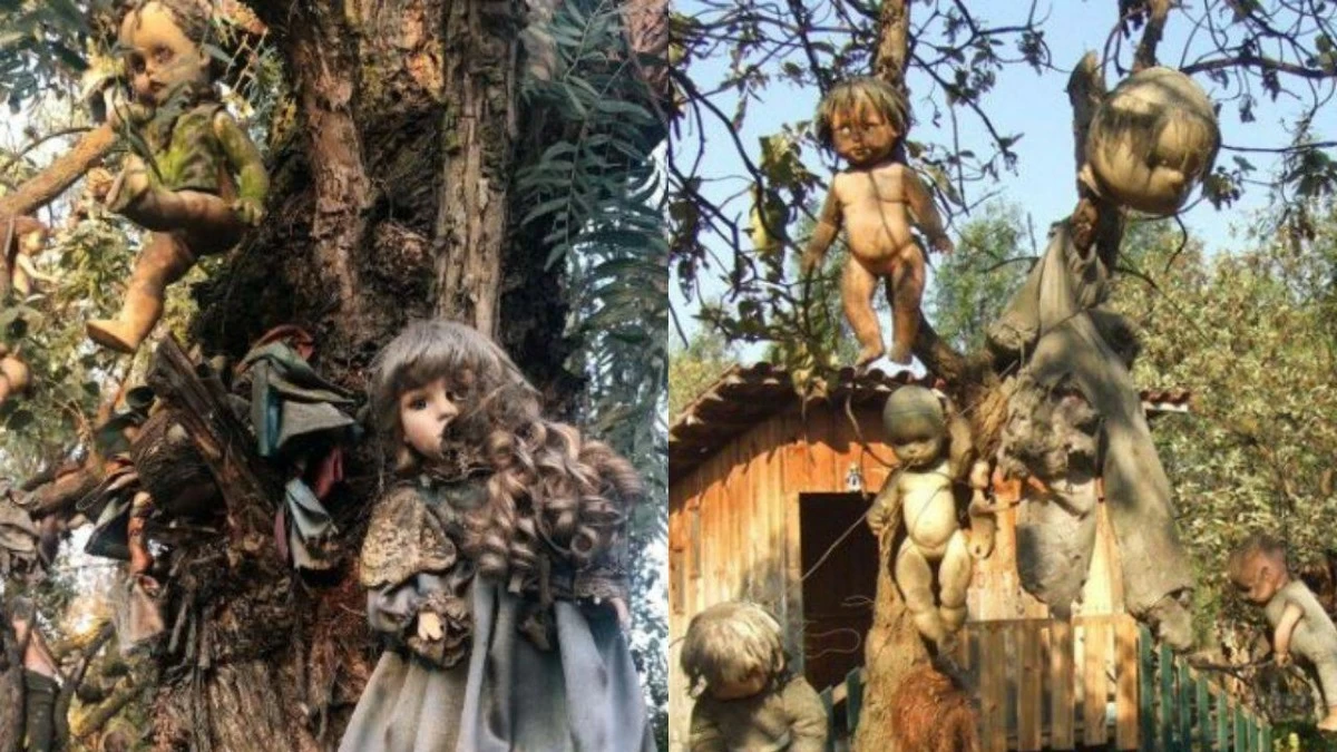 This island in Mexico is full of haunted dolls hanging from trees.