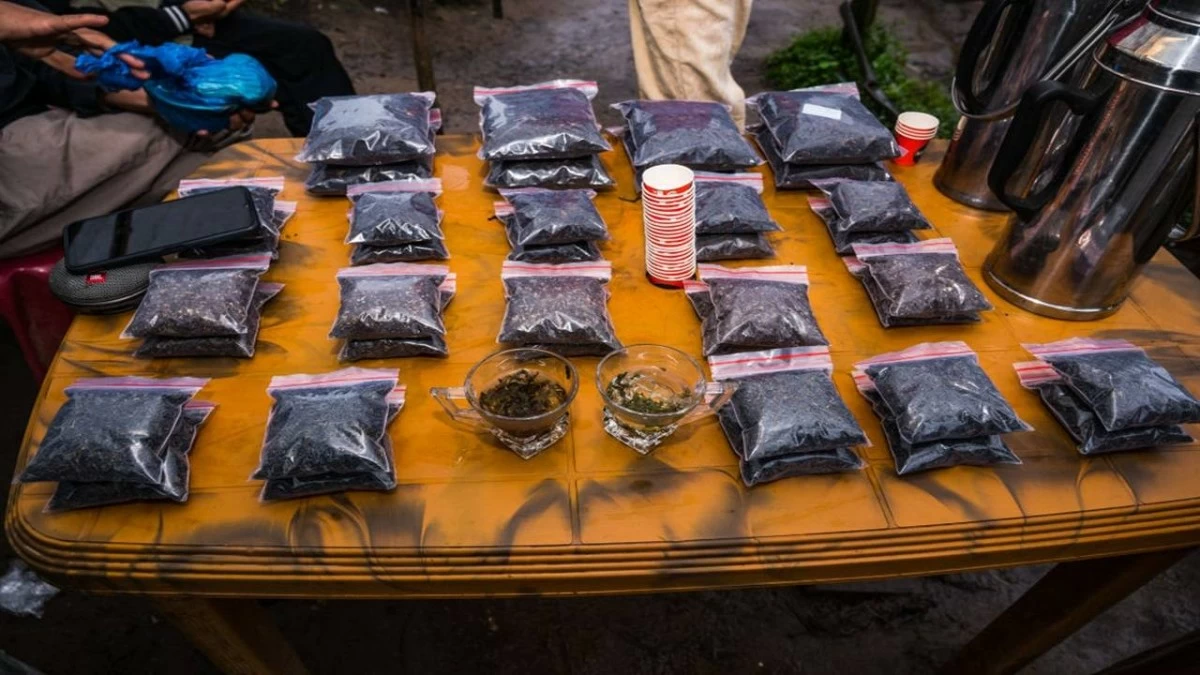 The agricultural products that have got GI tags include Darjeeling Tea. (Photo Credit: Soumyabrata Roy/NurPhoto via Getty Images)