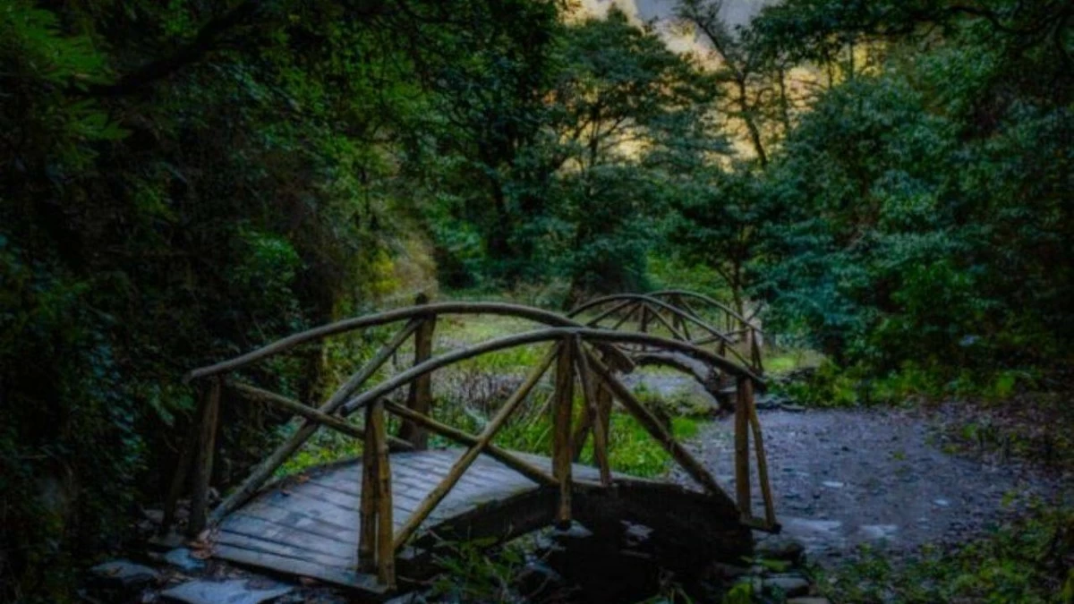 Jibhi: A charming hamlet with lush greenery, waterfalls, and cosy wooden cottages, perfect for nature lovers.(photo credit: Pinterest)