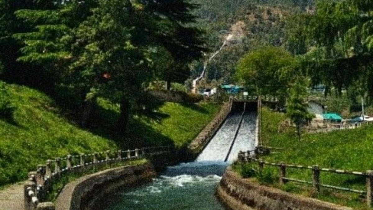 Barot:  A lesser-known hill station with trout fishing, scenic beauty, and an offbeat trekking experience.(Photo credit: Pinterest)