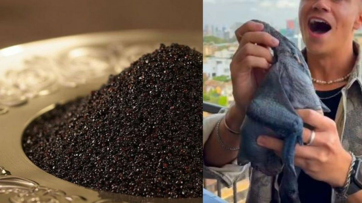 The 10 most expensive foods in the world.