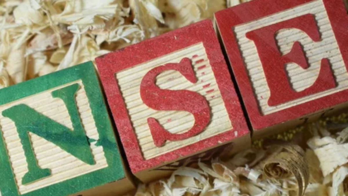 Once the NoC is received from Sebi the NSE IPO will not take time to hit the market and it could also take place around Diwali this year, reports indicate. (Picture Credit: Depositphotos)