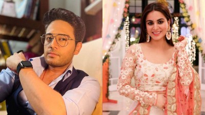 Bigg Boss 19: Anupamaa’s Anuj to Kundali Bhagya’s Preeta, who is participating this season?