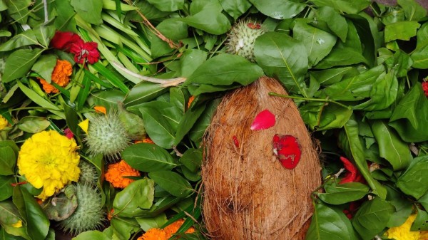 Why Bel Patra is Lord Shiva's favourite offering — Know the spiritual meaning