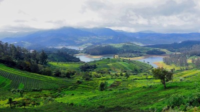 Mist-covered hills in Ooty, Tamil Nadu