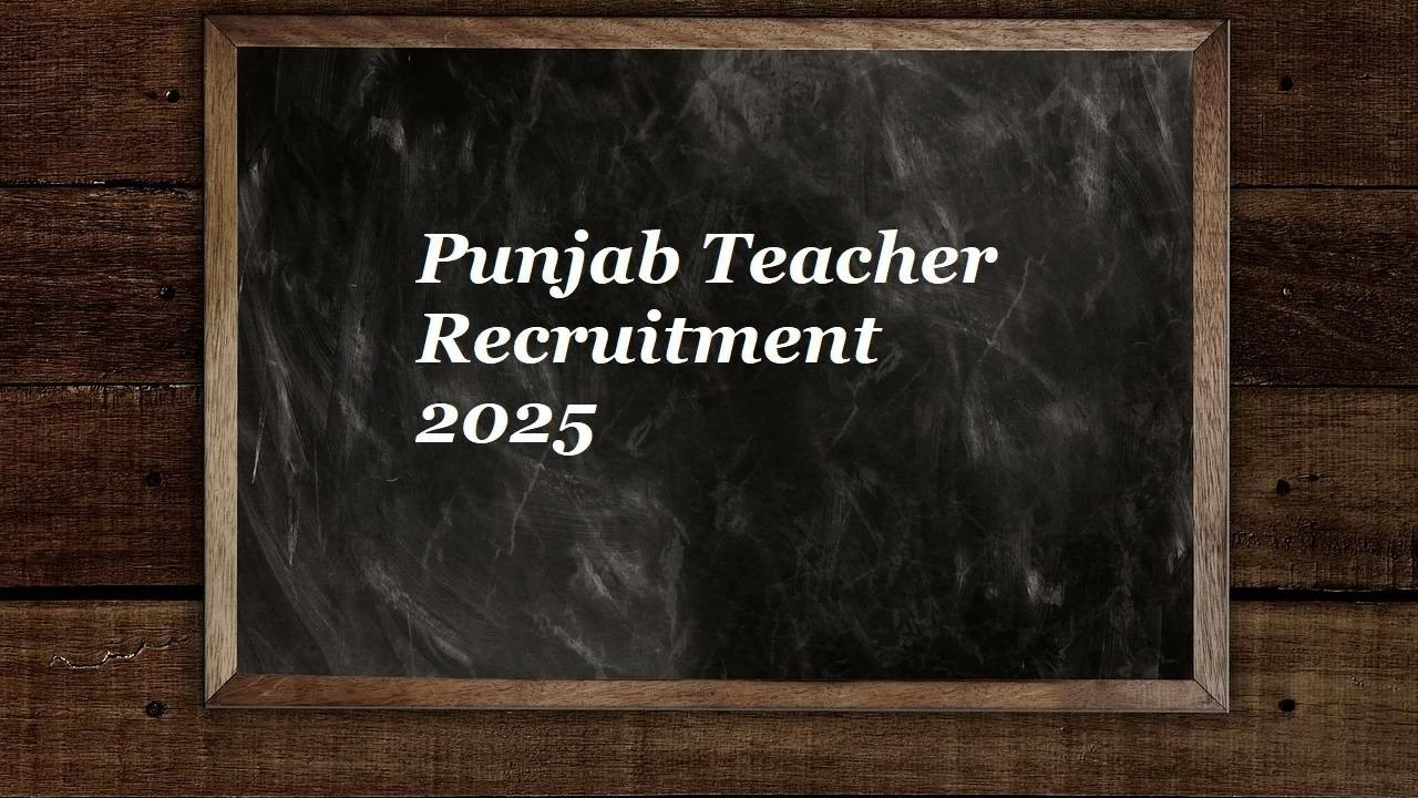 Punjab Teacher Recruitment 2025 (Photo Credit: Pixabay)