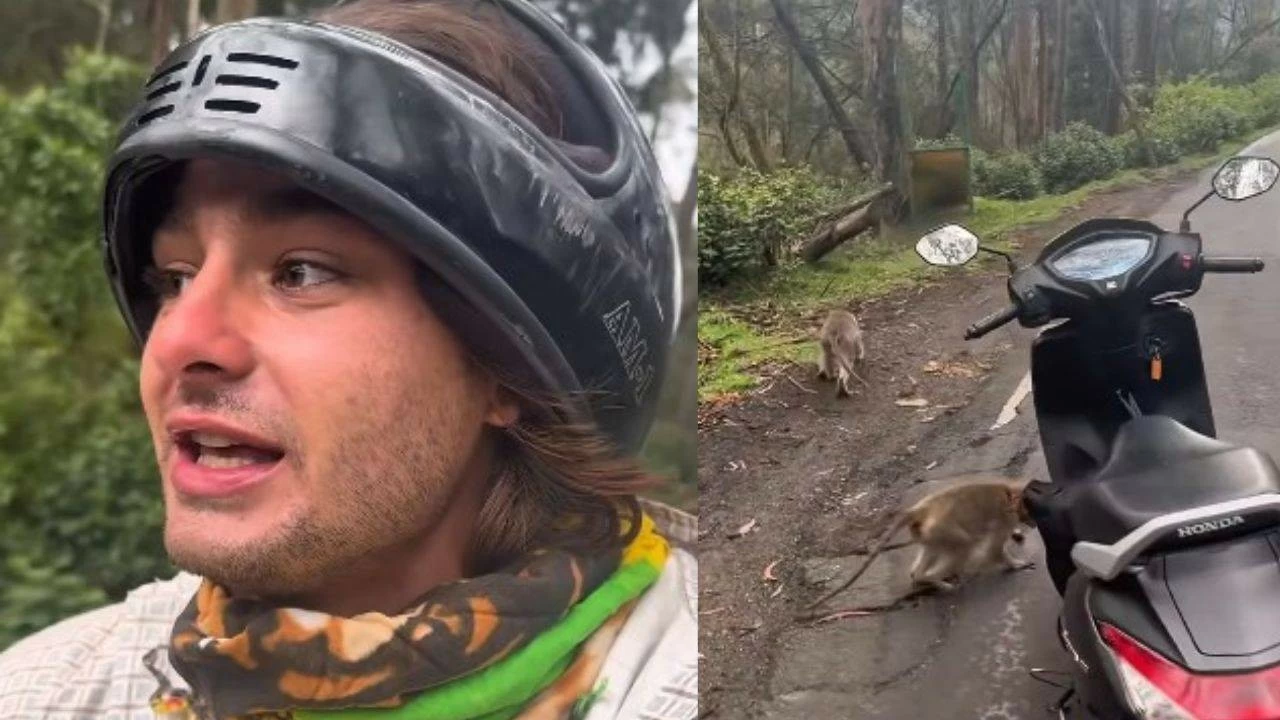 US_travel_vlogger_gets_'robbed'_by_monkeys_in_Kodaikanal