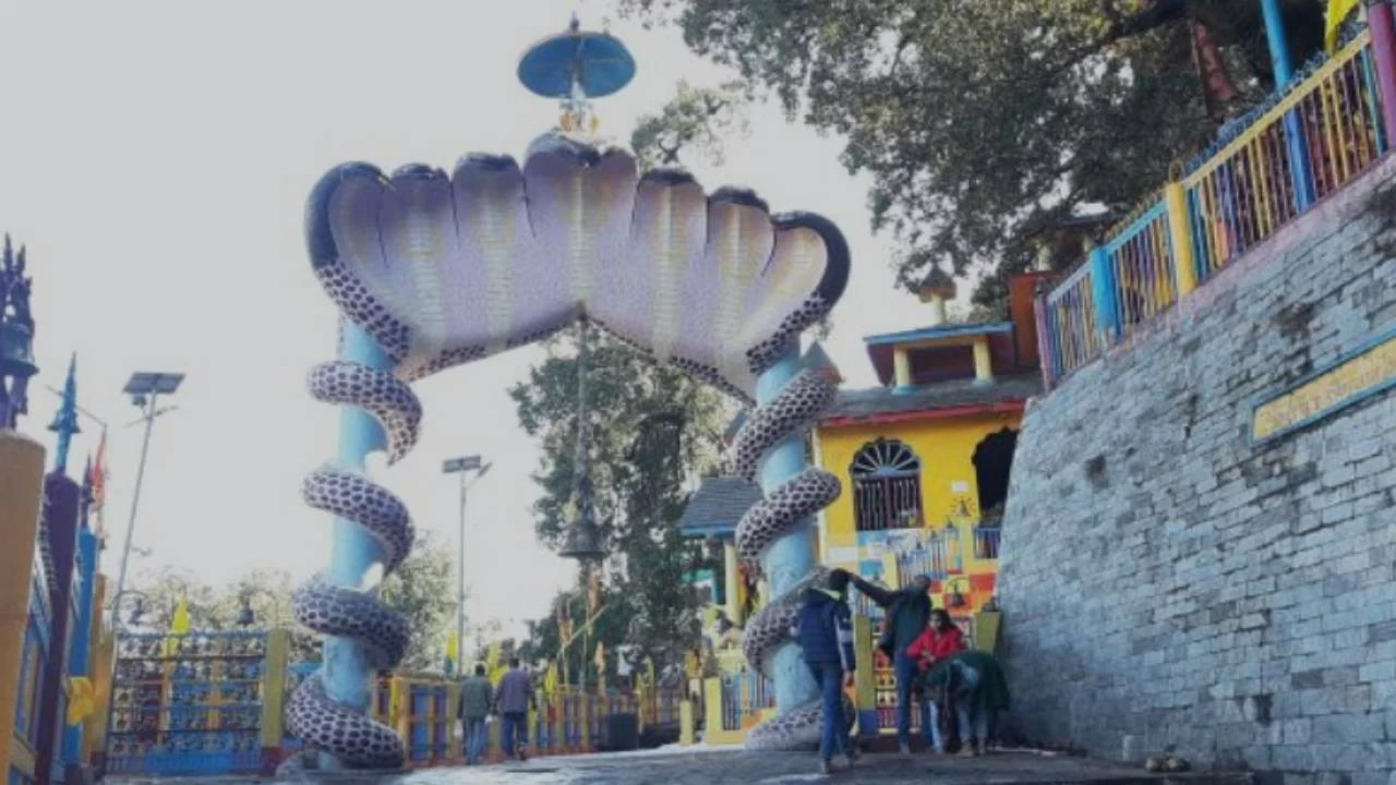 The temple is dedicated to Lord Krishna in the form of Sheshnag, the serpent king