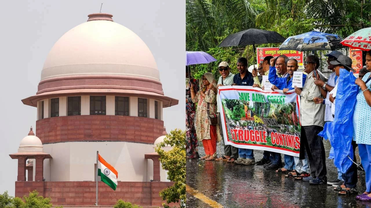 The Supreme Court approved the BMC's request to fell 95 trees near Mumbai's Aarey forest.