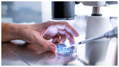 In the UK, around 3% of births now result from IVF, while in the US, about 2% of children are born through this technology.