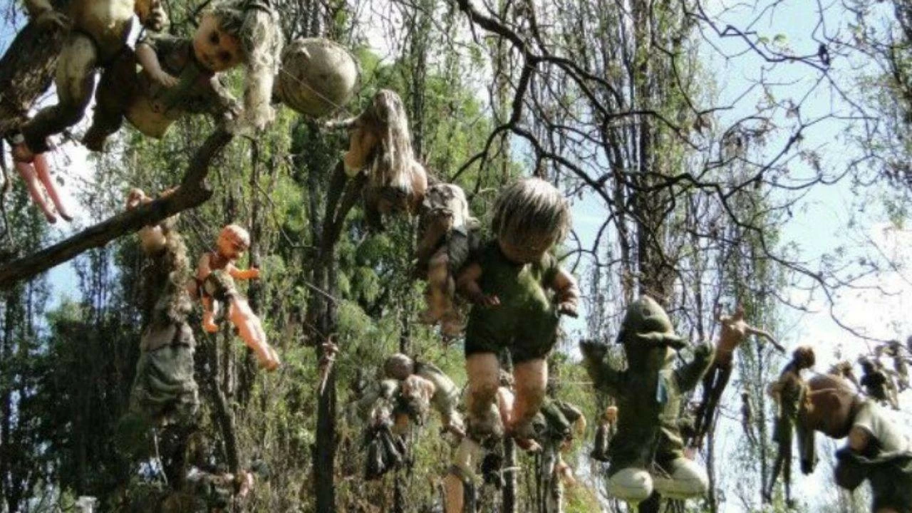 Haunted island of dolls in Mexico.