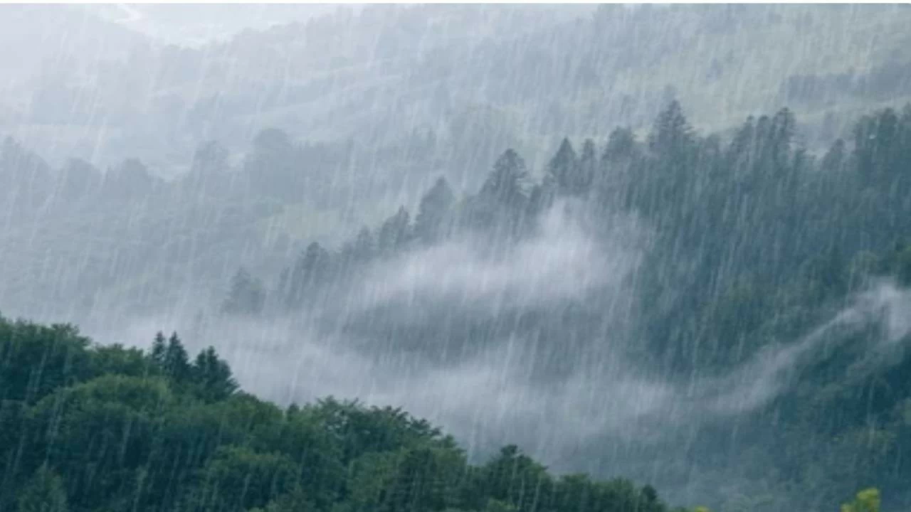 IMD sounded a yellow alert fir five districts in Uttarakhand 