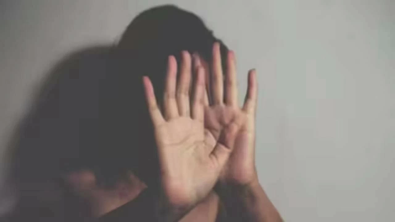 The attackers called her a 'dirty Indian' and said 'go back to India' while punching her and pushing a bicycle wheel into her private parts, said a friend of the victim