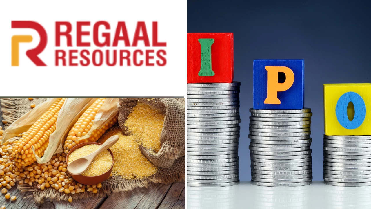 Regaal Resources IPO to launch on August 12, 2025