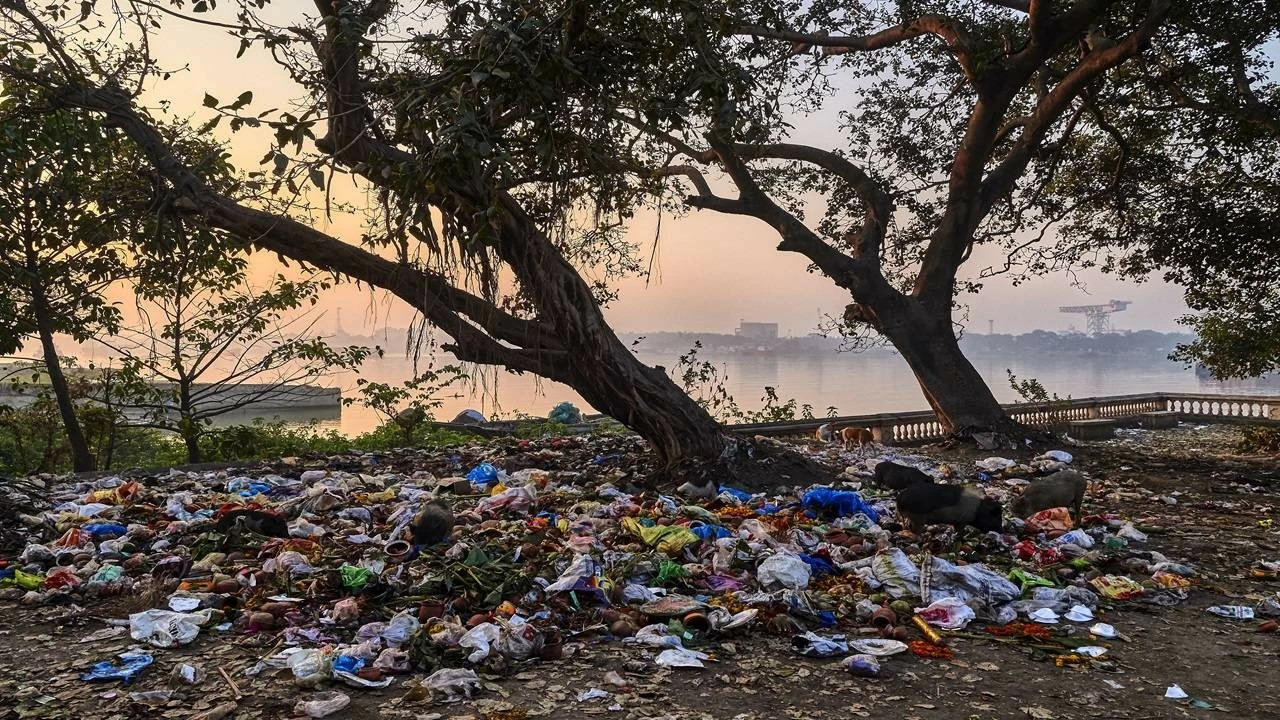 According to UNEP, single-use plastics account for 36% of total plastic output across the globe, with 85% being mismanaged.