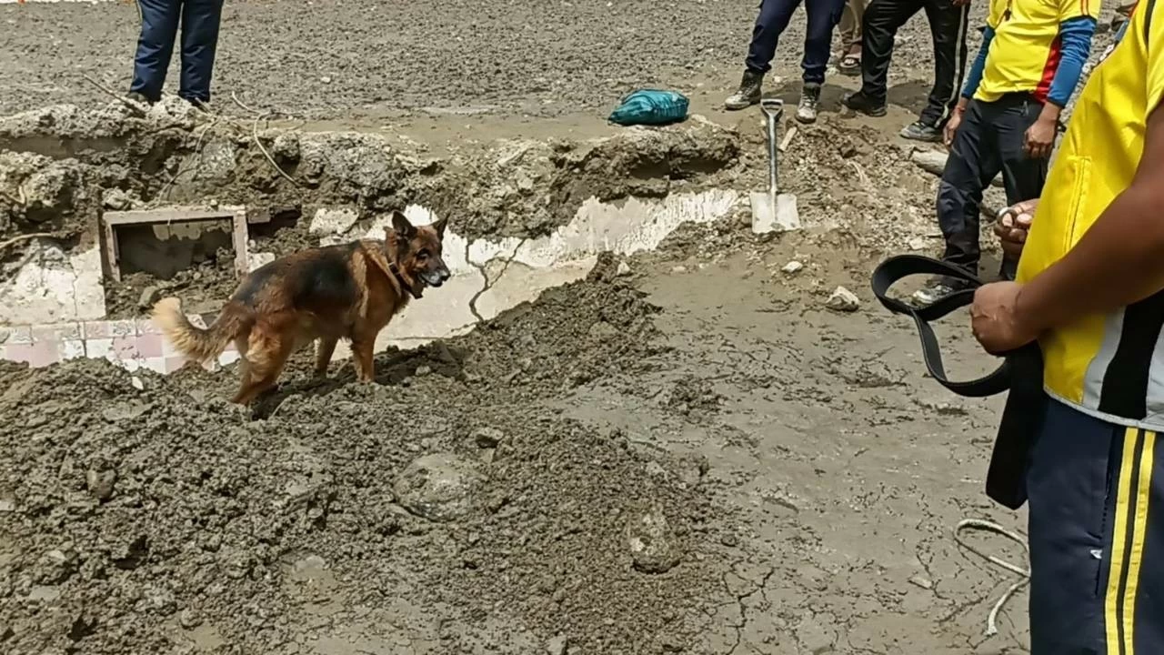 Uttarkashi rescue operation: Sniffer dogs, GPR technique, cameras hunt for survivors; 1,273 airlifted