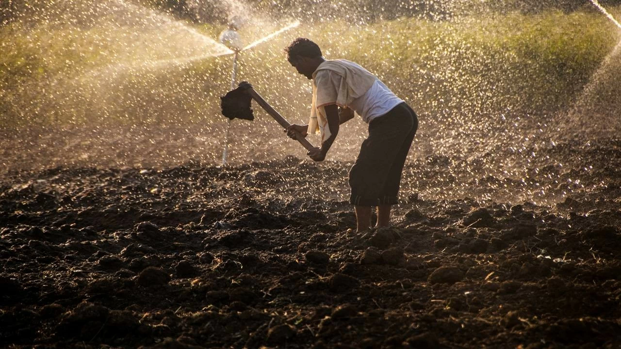 Land for agriculture in India is shrinking at a steady pace.