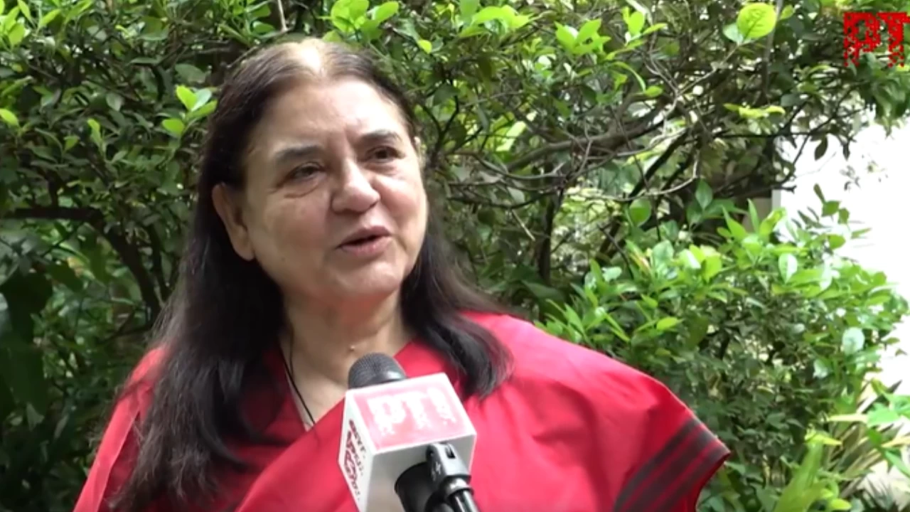  Maneka Gandhi spoke on the Supreme Court's order to remove all stray dogs from the Delhi-NCR streets within 8 weeks