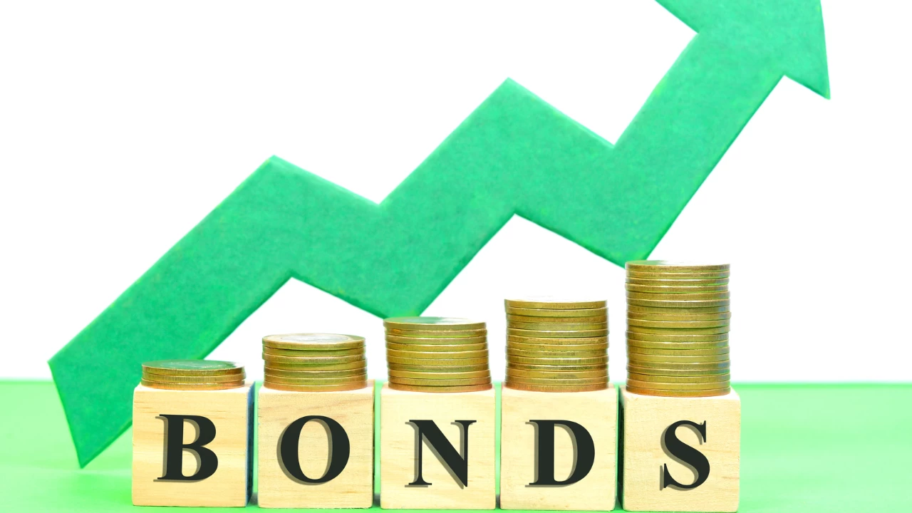 The flurry in the bond market is expected to last for some time as companies take advantage of the declining yields to raise capital.