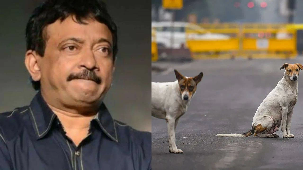 Ram Gopal Varma slams dog lovers: 'Stray menace does not exist in lavish villas'