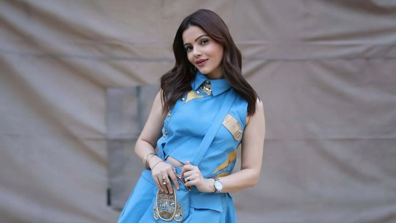 Talking about her personal life, she is married to Abhinav Shukla. They got married in the year 2018.