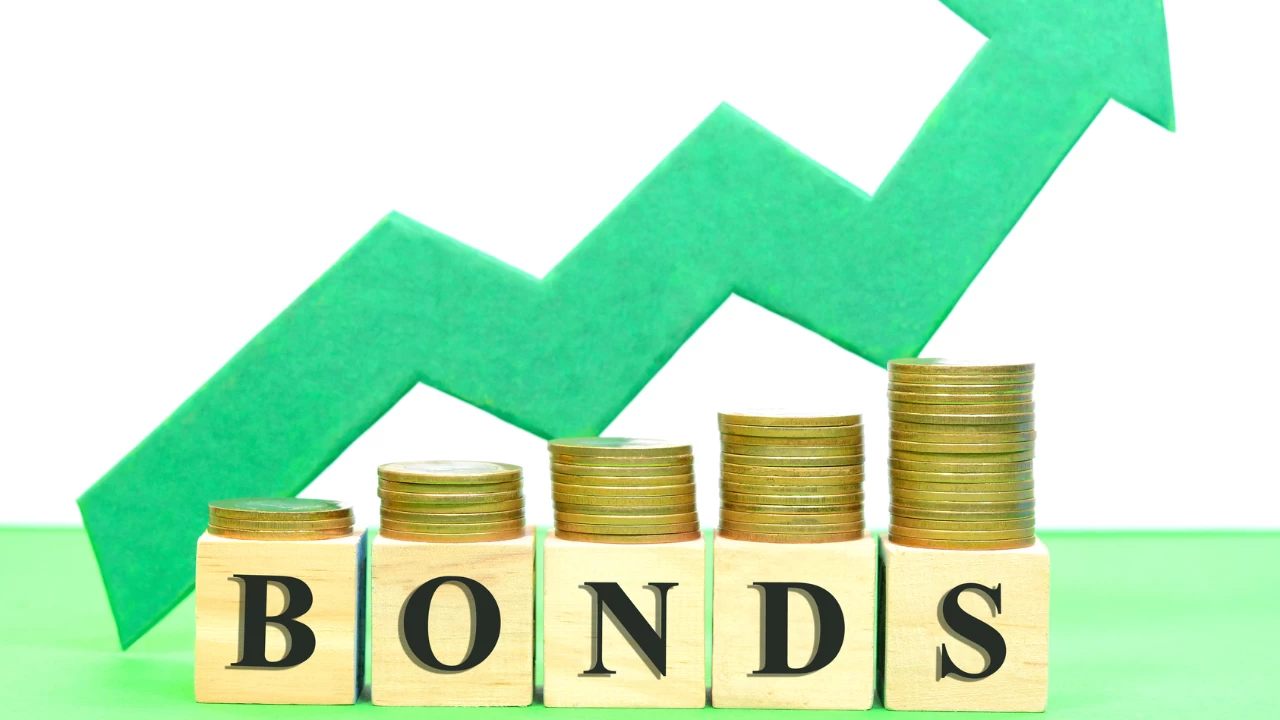 Though bonds are debt instruments one would be rather naive to think that they are free from risks.