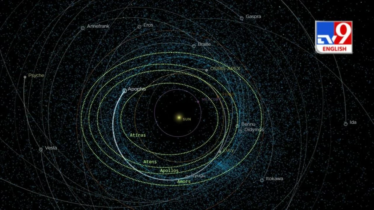 The different populations of asteroids. 