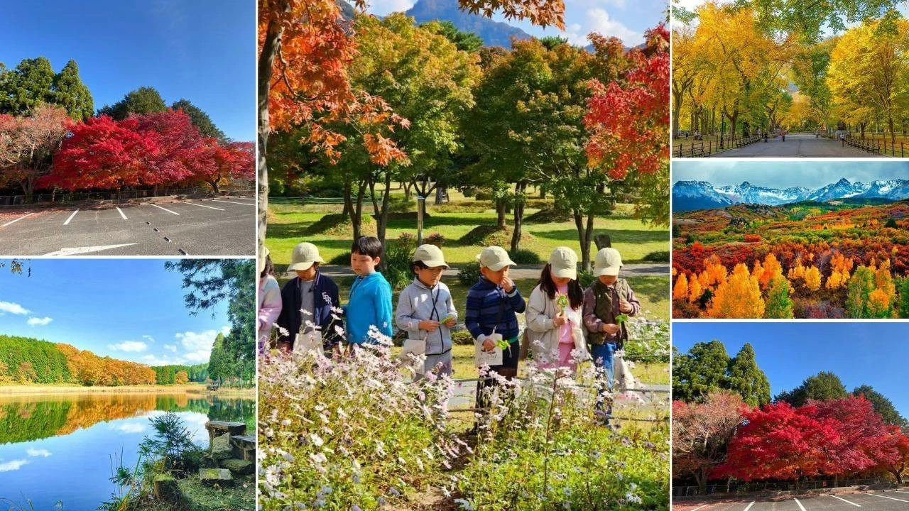 Must-visit global destinations to experience beauty of autumn