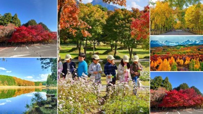 Must-visit global destinations to experience beauty of autumn