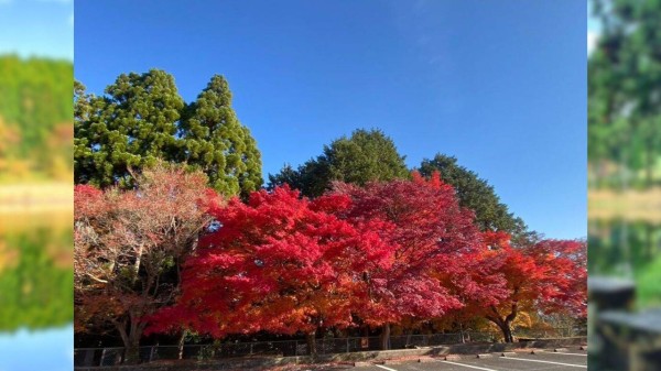 Must-visit global destinations to experience beauty of autumn