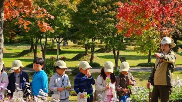 Must-visit global destinations to experience beauty of autumn