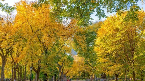 Must-visit global destinations to experience beauty of autumn