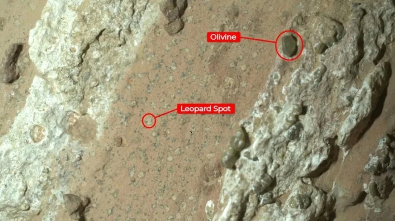Leopard spots discovered on the Martian rock could be a potential biosignature. 