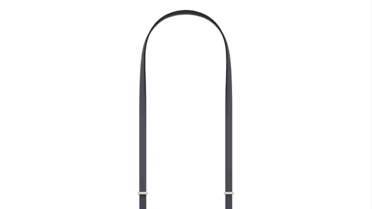 While some see it as a stylish, hands-free solution, others criticize the premium price for such a simple accessory.