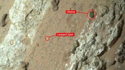 Leopard spots discovered on the Martian rock could be a potential biosignature. 