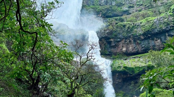 Vajrai Waterfall near Maharashtra’s Valley of Flowers
