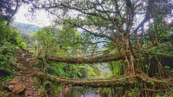 Cleanest villages of northeast India you must explore