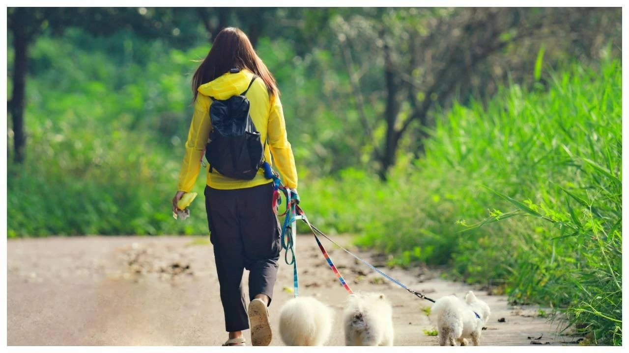 Taken together, walking, strength exercises, and yoga cover all the bases: endurance, strength, and balance.