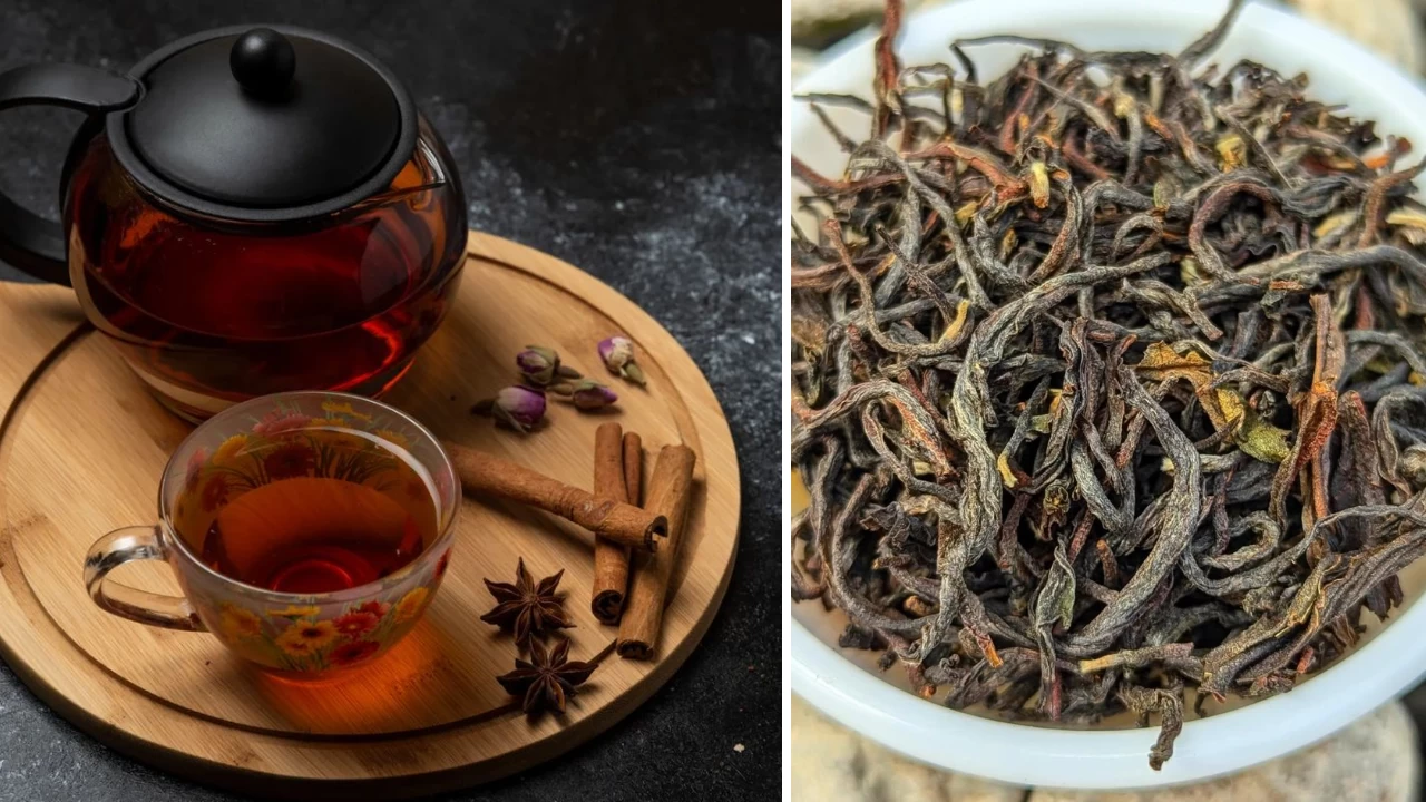 Nilgiri Tea: Story behind India's most aromatic chai
