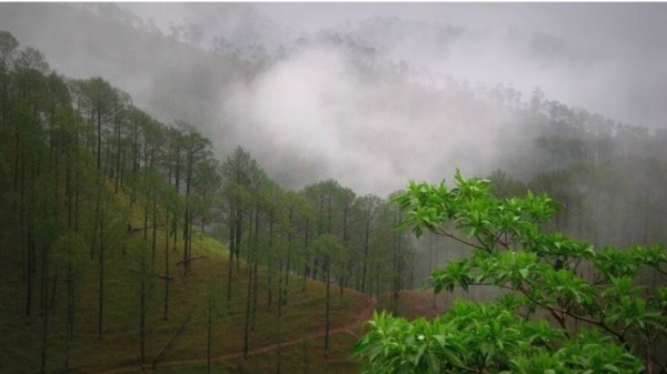 Rains_in_hills