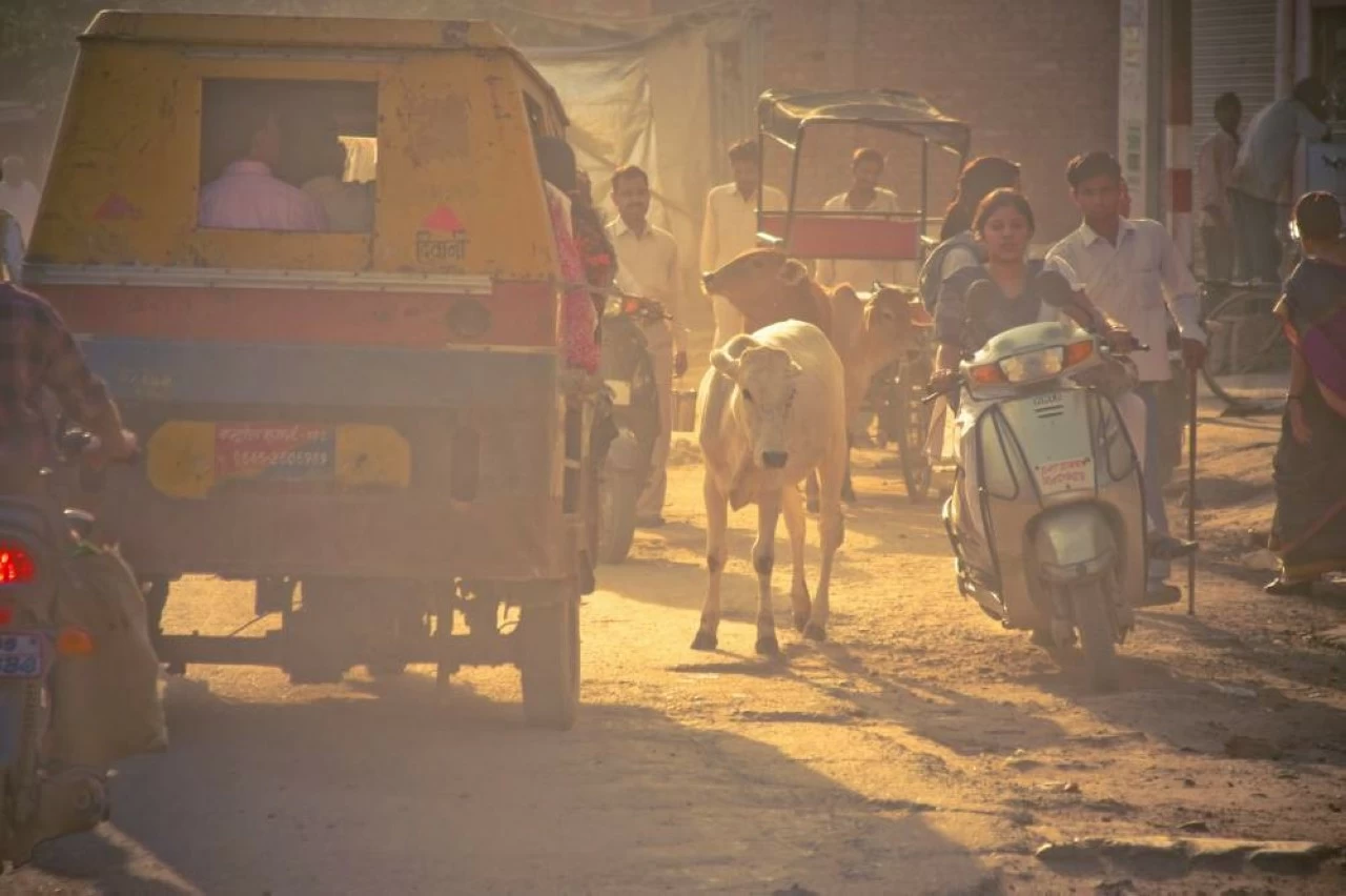Autonomous vehicles in India can be expected to navigate some chaotic and busy environments. 