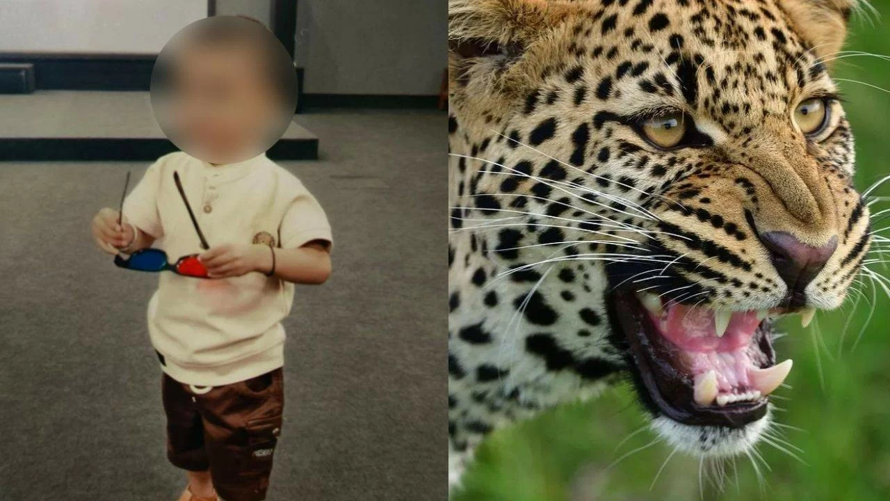 The incident occurred around 10 pm when Shrutik was playing in the compound.