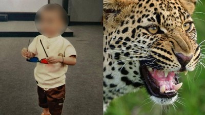 The incident occurred around 10 pm when Shrutik was playing in the compound.