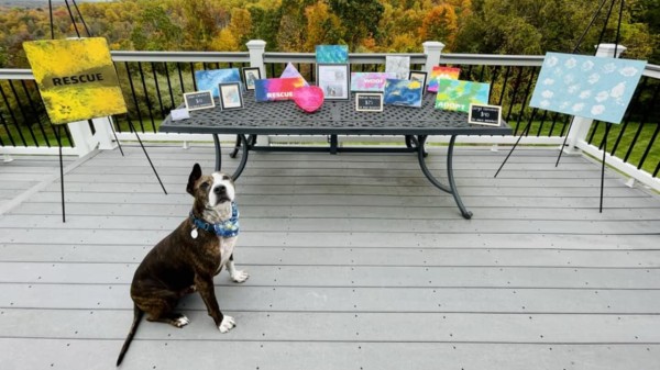 Meet Van Gogh, the one-eared rescue dog who paints with his tongue