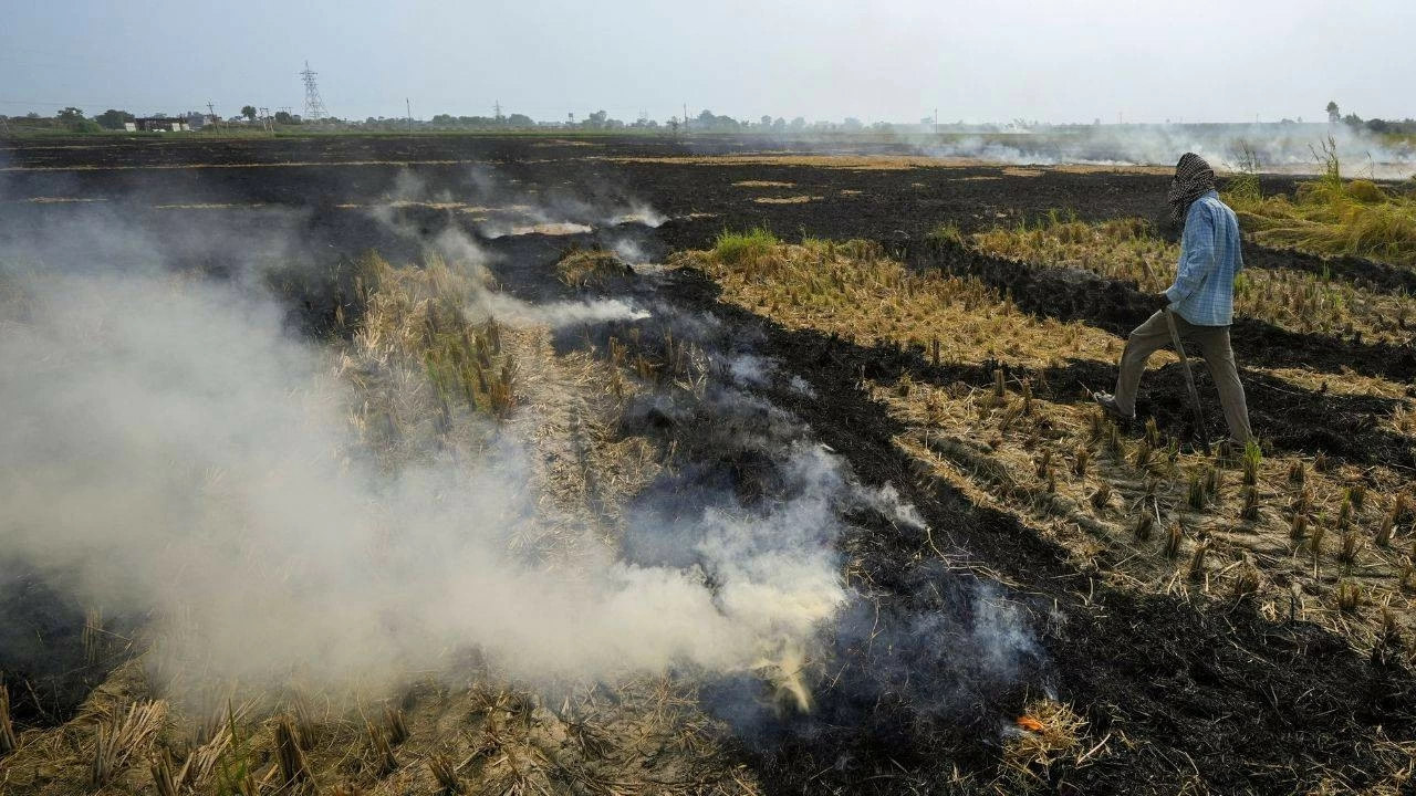 Smoke billows as a farmer burns stubble in a paddy field on the outskirts of Amritsar, Punjab