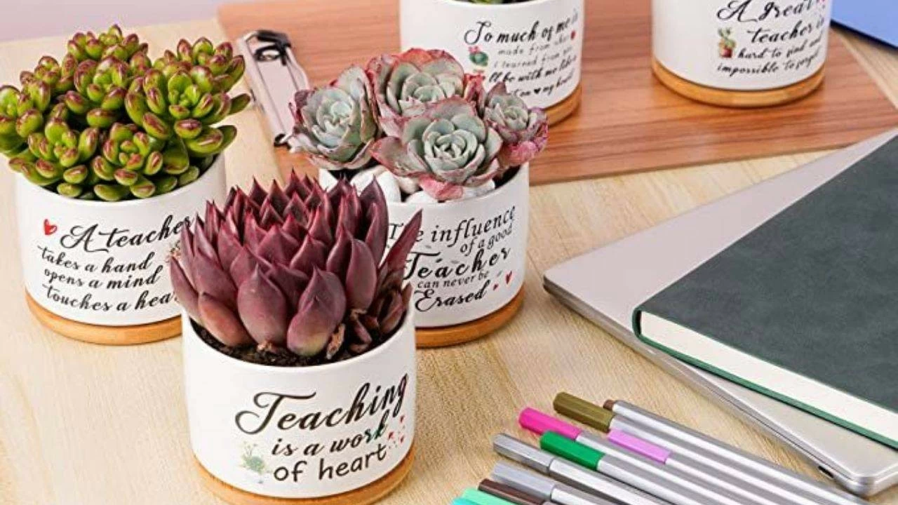 Best Diwali gifts for teachers