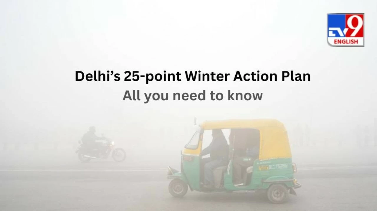 Delhi government has finalised a 25-point ‘Winter Action Plan’ to combat the surging air pollution. (PTI/TV9)